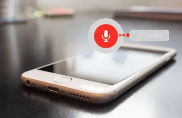 Smart Home Voice Control